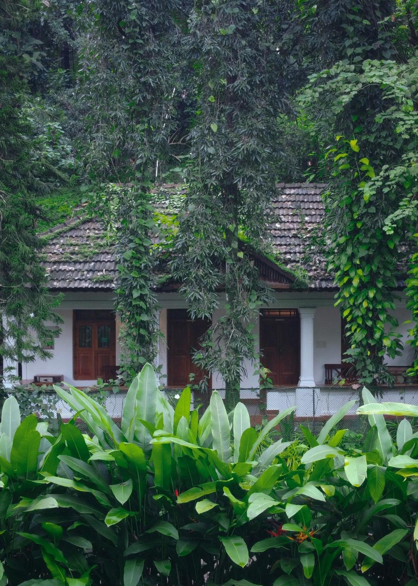 Vanilla County Vagamon Exterior foto